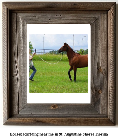 horseback riding near me in St. Augustine Shores, Florida